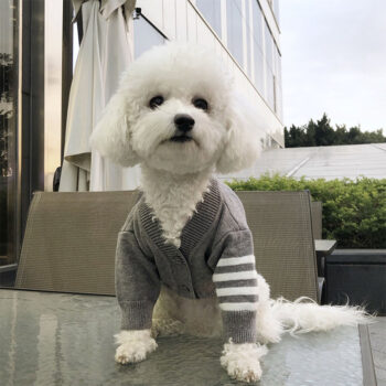 Dog Sweater - 2026 - Puppy Streetwear Shop