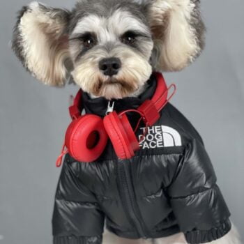 Dog Jacket The Dog Face - 2025 - Puppy Streetwear Shop Dog Jacket The Dog Face - 2025 - Puppy Streetwear Shop