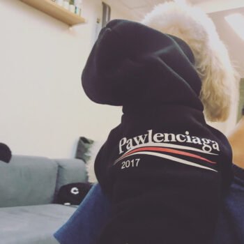 Dog Hoodies Pawlenciaga - 2025 - Puppy Streetwear Shop