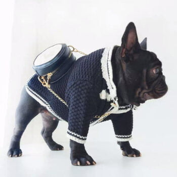 Dog Sweater Chanel - 2025 - Puppy Streetwear Shop