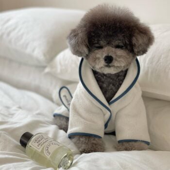 Dog Bathrobe - 2025 - Puppy Streetwear Shop