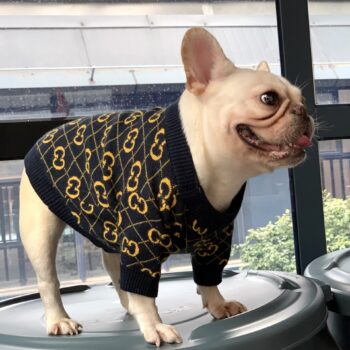 Dog Sweater Pawcci - 2026 - Puppy Streetwear Shop