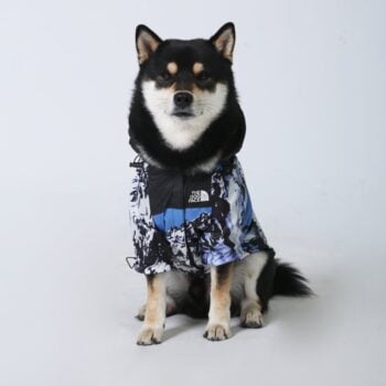 Dog Jacket The Dog Face Snow Mountain - 2026 - Puppy Streetwear Shop