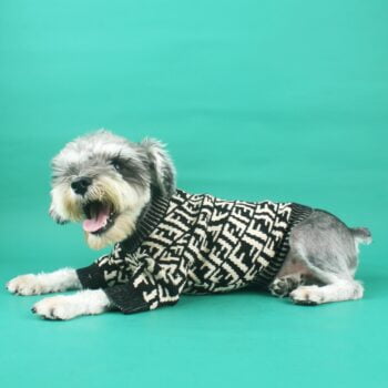 Dog Sweater Fendi - 2025 - Puppy Streetwear Shop