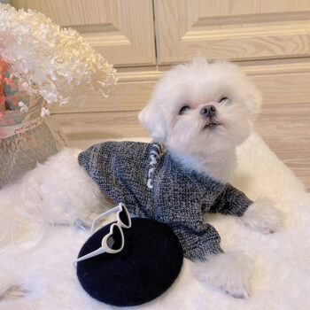 Dog Sweater Essentials - 2025 - Puppy Streetwear Shop