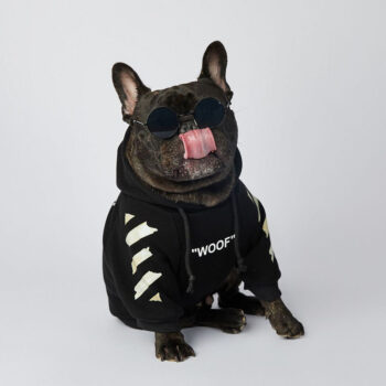 Dog Hoodies Woof - 2025 - Puppy Streetwear Shop
