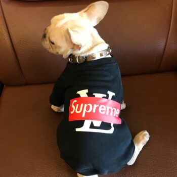 Dog Hoodies Louis Pawtton - 2025 - Puppy Streetwear Shop