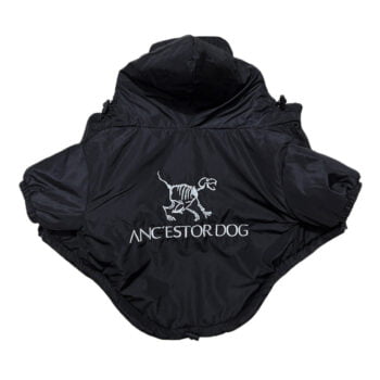 Dog Jacket - 2025 - Puppy Streetwear Shop