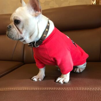 Dog Hoodies Louis Pawtton - 2025 - Puppy Streetwear Shop