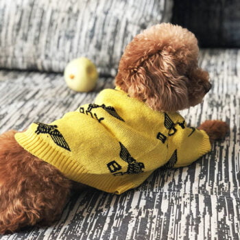 Dog Sweater - 2025 - Puppy Streetwear Shop