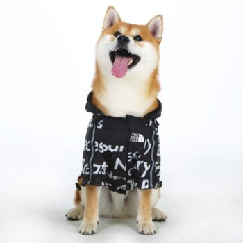 Dog Jacket The Dog Face - 2025 - Puppy Streetwear Shop Dog Jacket The Dog Face - 2025 - Puppy Streetwear Shop