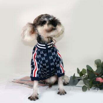 Dog Jacket Pawcci - 2026 - Puppy Streetwear Shop