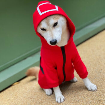 Dog Jacket Squid Game - 2025 - Puppy Streetwear Shop