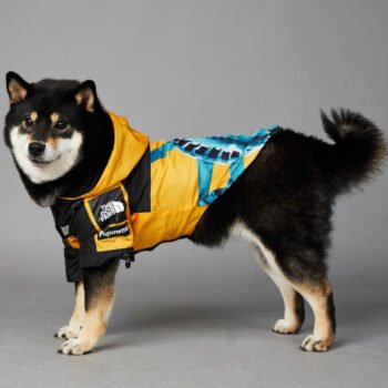 Dog Hoodies The North Face - 2025 - Puppy Streetwear Shop