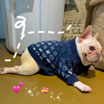 Dog Sweater Louis Pawtton - 2025 - Puppy Streetwear Shop