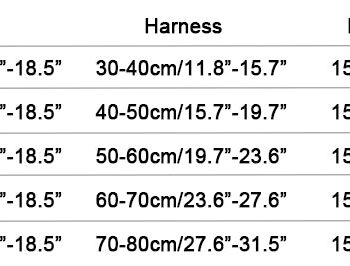 Dog Collar Harness Louis Pawtton - 2025 - Puppy Streetwear Shop