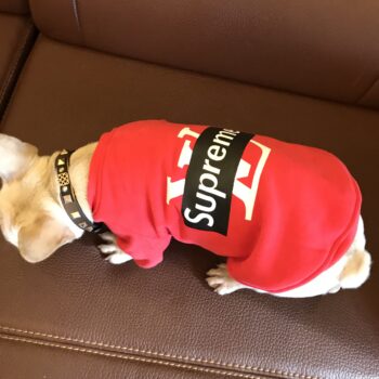 Dog Hoodies Louis Pawtton - 2025 - Puppy Streetwear Shop