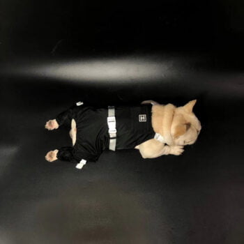 Chanel Black Dog Jumpsuit - Ultimate Pup Sophistication - 2025 - Puppy Streetwear Shop