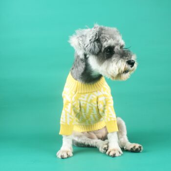 Dog Sweater Fendi - 2025 - Puppy Streetwear Shop