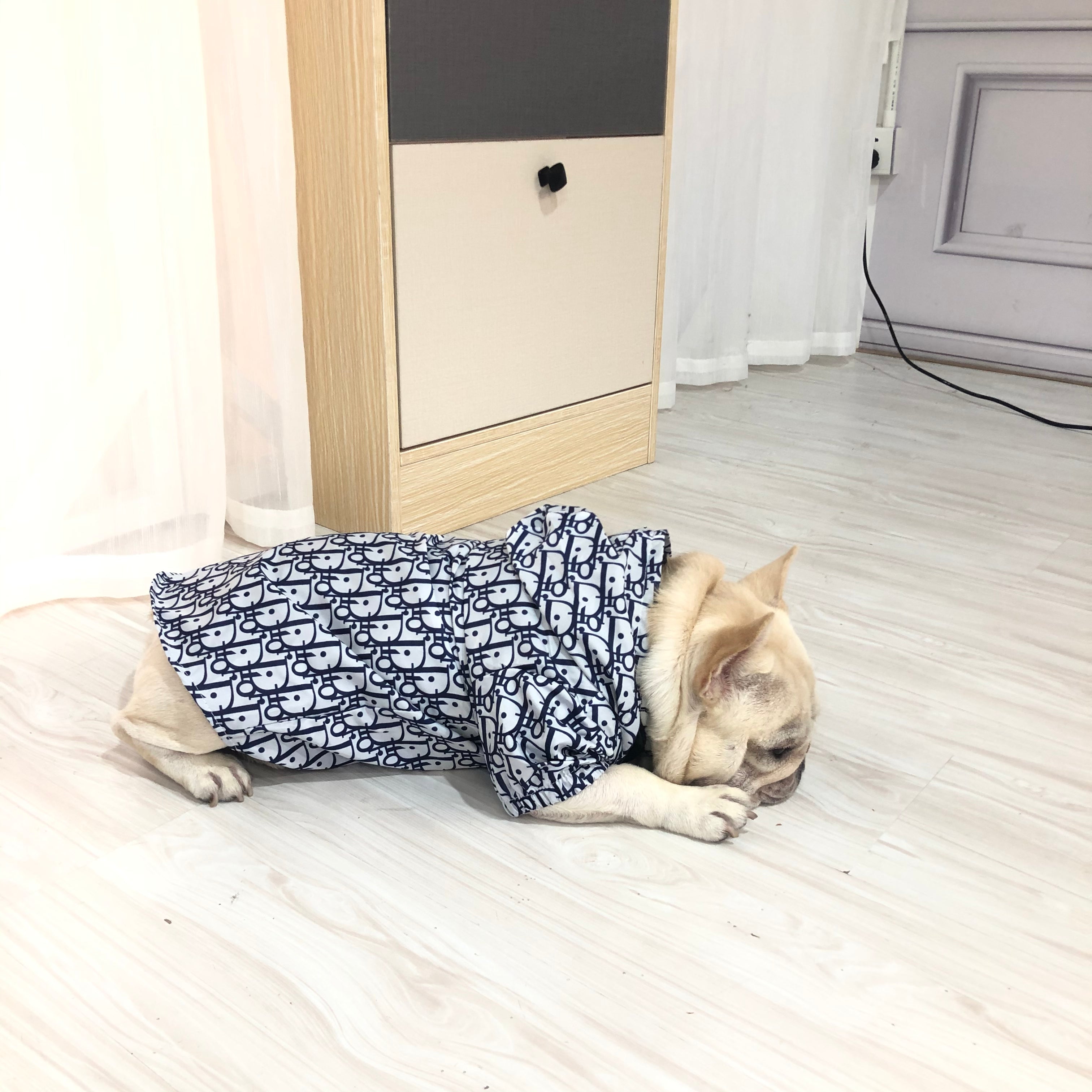 Designer Dog Hoodies Doir - 2023 - Puppy Streetwear Shop