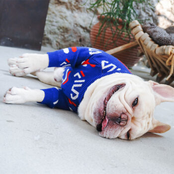 Dog Sweater Fila - 2026 - Puppy Streetwear Shop