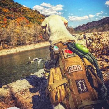 Dog Harness Tactic - 2025 - Puppy Streetwear Shop