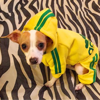 Dog Hoodies Adidas - 2025 - Puppy Streetwear Shop