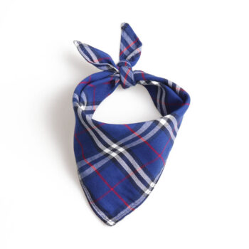 Dog Bandana Burberry - 2025 - Puppy Streetwear Shop Dog Bandana Burberry - 2025 - Puppy Streetwear Shop