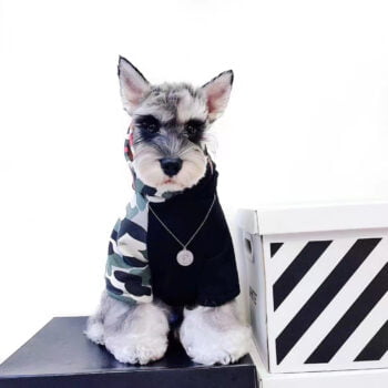 Dog Hoodies Bape - 2026 - Puppy Streetwear Shop