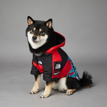 Dog Hoodies The North Face - 2025 - Puppy Streetwear Shop