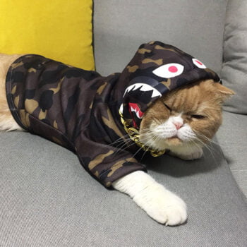 Dog Hoodies Bape - 2025 - Puppy Streetwear Shop