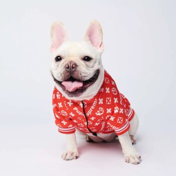 Dog Jacket Louis Pawtton - 2025 - Puppy Streetwear Shop