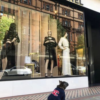 Dog Sweater Chanel - 2025 - Puppy Streetwear Shop