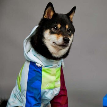 Dog Hoodies The North Face - 2025 - Puppy Streetwear Shop