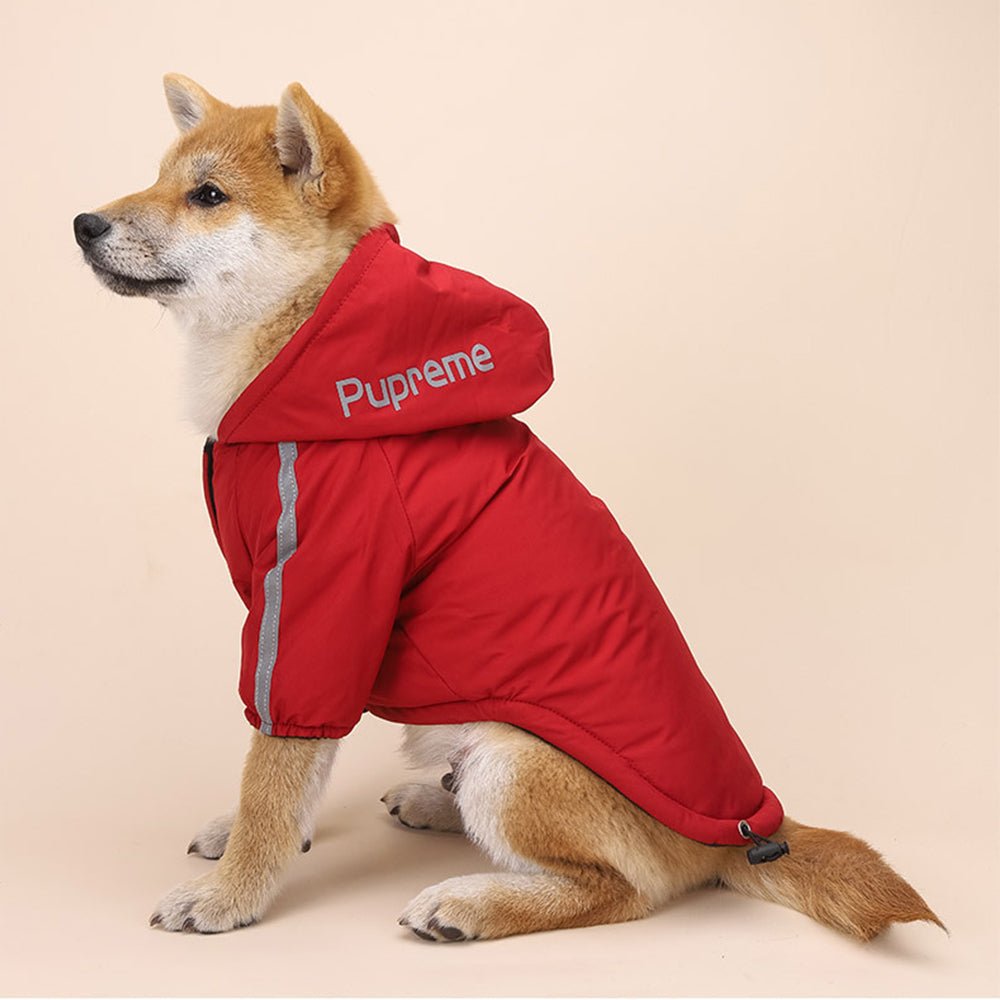 Designer Dog Hoodies The North Face - 2024 - Puppy Streetwear Shop