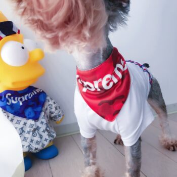 Dog Bandana CDG - 2025 - Puppy Streetwear Shop