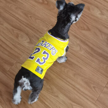 Dog Vest Basketball - 2025 - Puppy Streetwear Shop