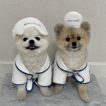 Dog Bathrobe - 2025 - Puppy Streetwear Shop
