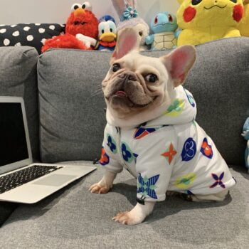 Dog Hoodies Louis Pawtton - 2025 - Puppy Streetwear Shop