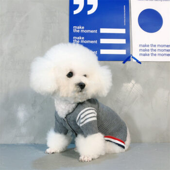 Dog Sweater - 2026 - Puppy Streetwear Shop