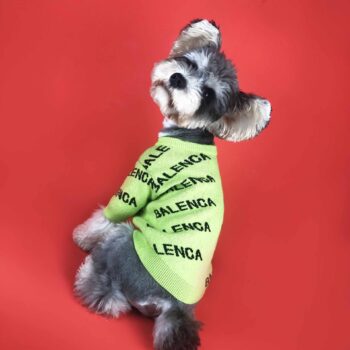 Dog Sweater Balenciaga - 2025 - Puppy Streetwear Shop