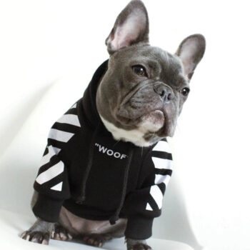 Dog Hoodies WOOF - 2025 - Puppy Streetwear Shop
