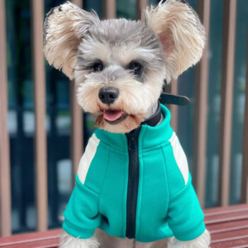 Dog Jacket Squid Game - 2025 - Puppy Streetwear Shop