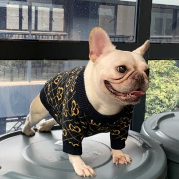 Dog Sweater Pawcci - 2026 - Puppy Streetwear Shop