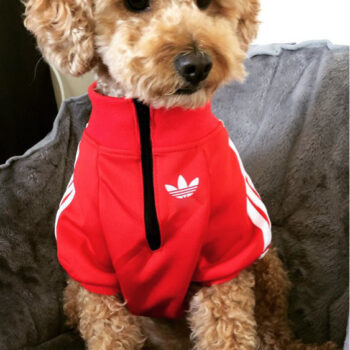 Dog Jacket Adidas - 2025 - Puppy Streetwear Shop