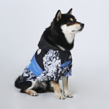 Dog Jacket The Dog Face Snow Mountain - 2026 - Puppy Streetwear Shop