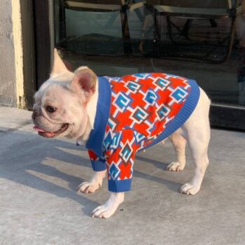 Dog Sweater Pawcci - 2026 - Puppy Streetwear Shop