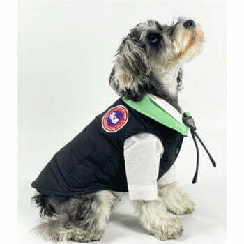 Dog Jacket Canada Goose - 2026 - Puppy Streetwear Shop
