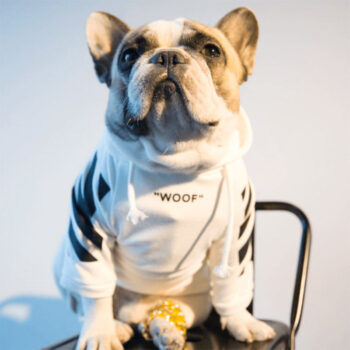 Dog Hoodies WOOF - 2025 - Puppy Streetwear Shop