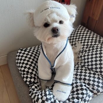 Dog Bathrobe - 2025 - Puppy Streetwear Shop